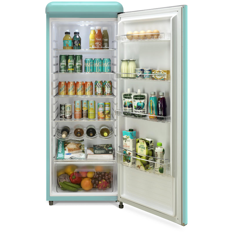 Epic 21-inch, 9 cu. ft. Freestanding All Refrigerator with Adjustable Thermostat ERAR88TIF IMAGE 3