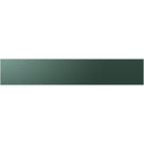 Samsung Bespoke Door Panel - Emerald Green Steel RA-F36DMMQG/AA IMAGE 1