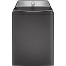 GE Profile Top Loading Washer with FlexDispense™ PTW600BPRDG IMAGE 1
