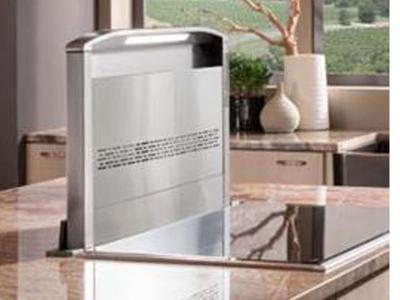 48" Best Cattura Downdraft Ventilator