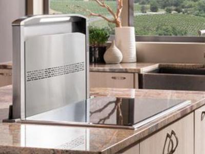 30" Best Cattura Downdraft Ventilation